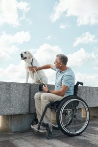 Adult Man in Wheelchair Walking Dog