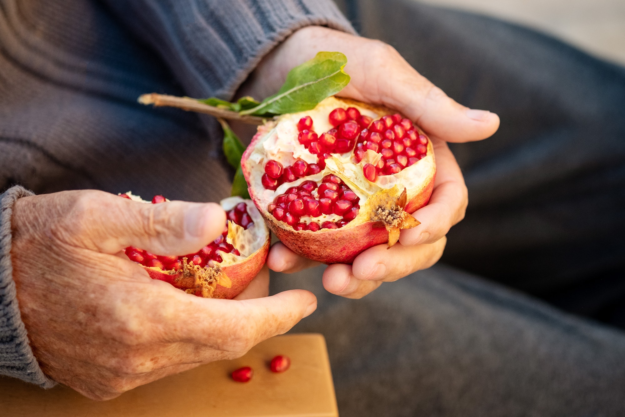 Ripe organic broken pomegranate, cut in half in senior hands .Selective focus