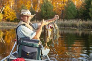 Senior man in a canoe holds up a stringer of walleyes on a late afternoon in the fall